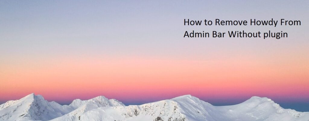 How to Remove Howdy From Admin Bar Without plugin